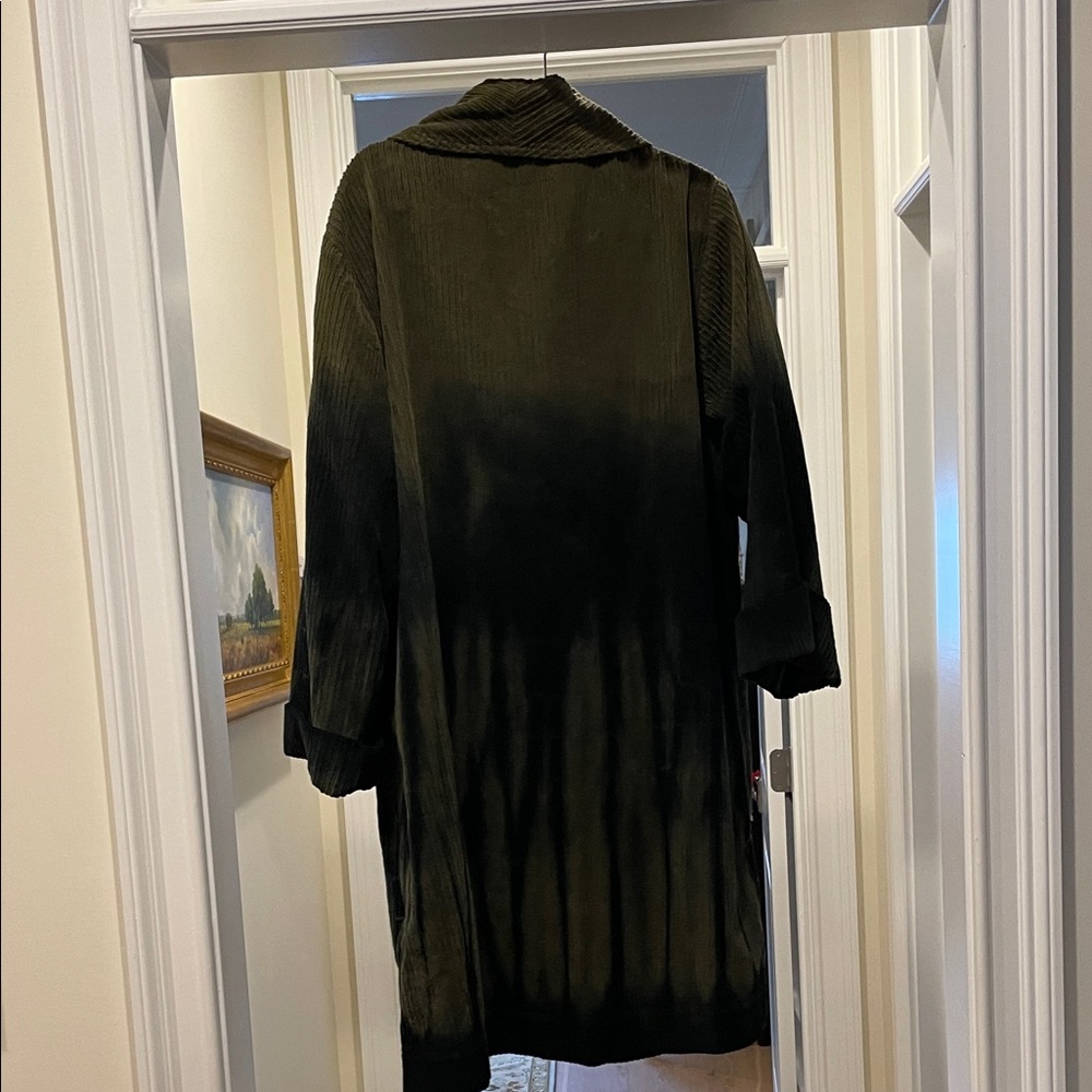 Raquel Allegra Olive Green Ombre Coat (bw) - Picture 8 of 8